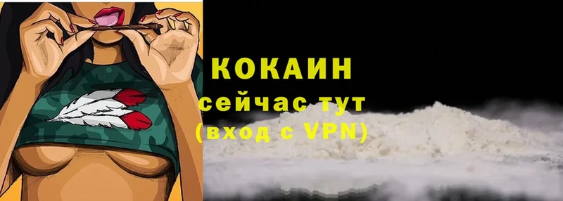 сколько стоит  Камбарка  COCAIN Перу 